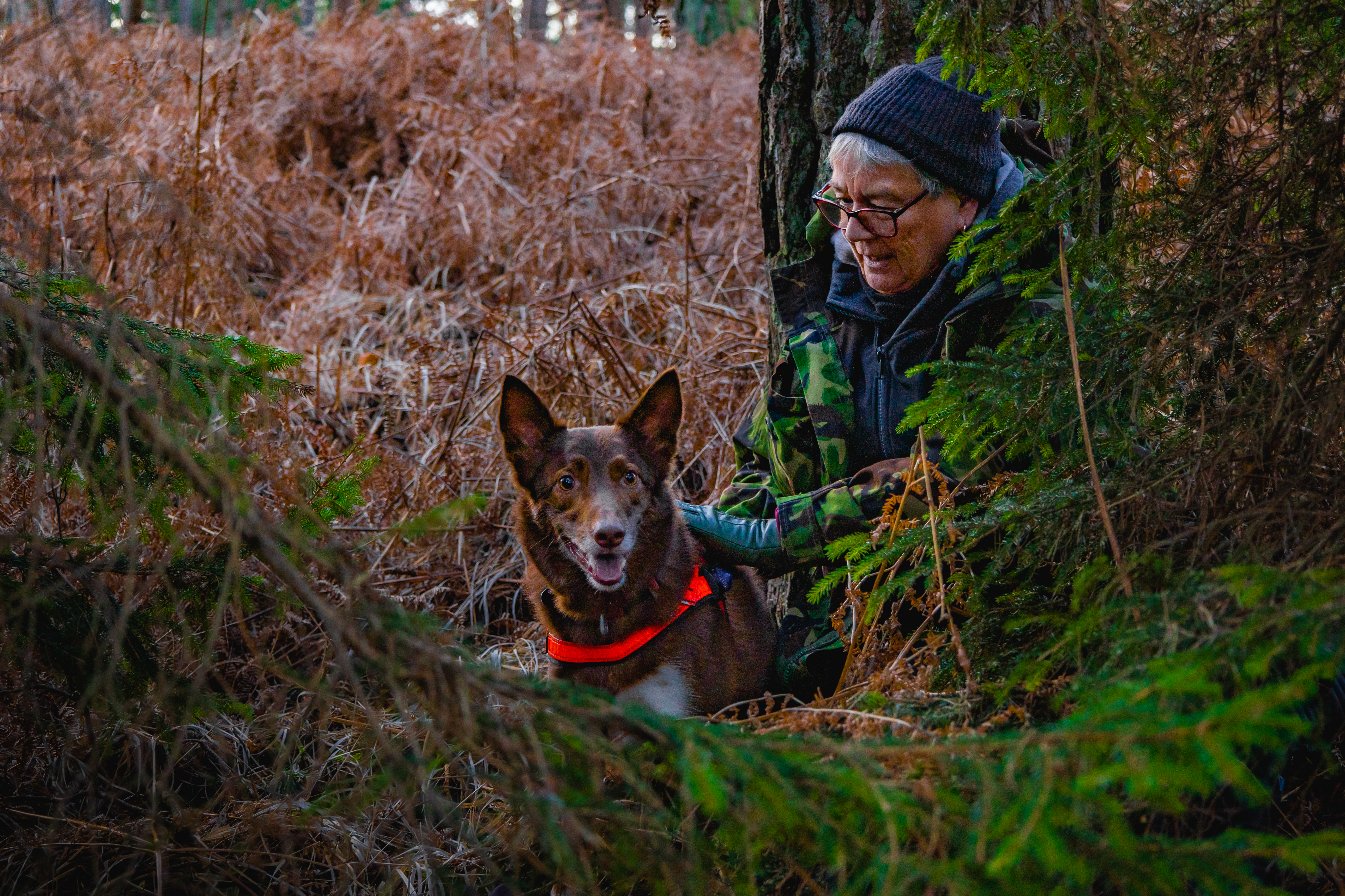 Photo of training support with search dog 